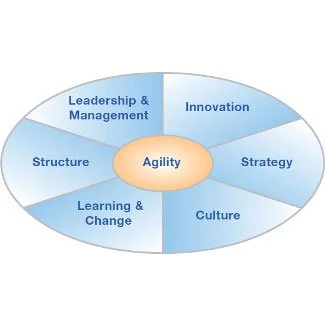 ACE 2010 Organisational Agility